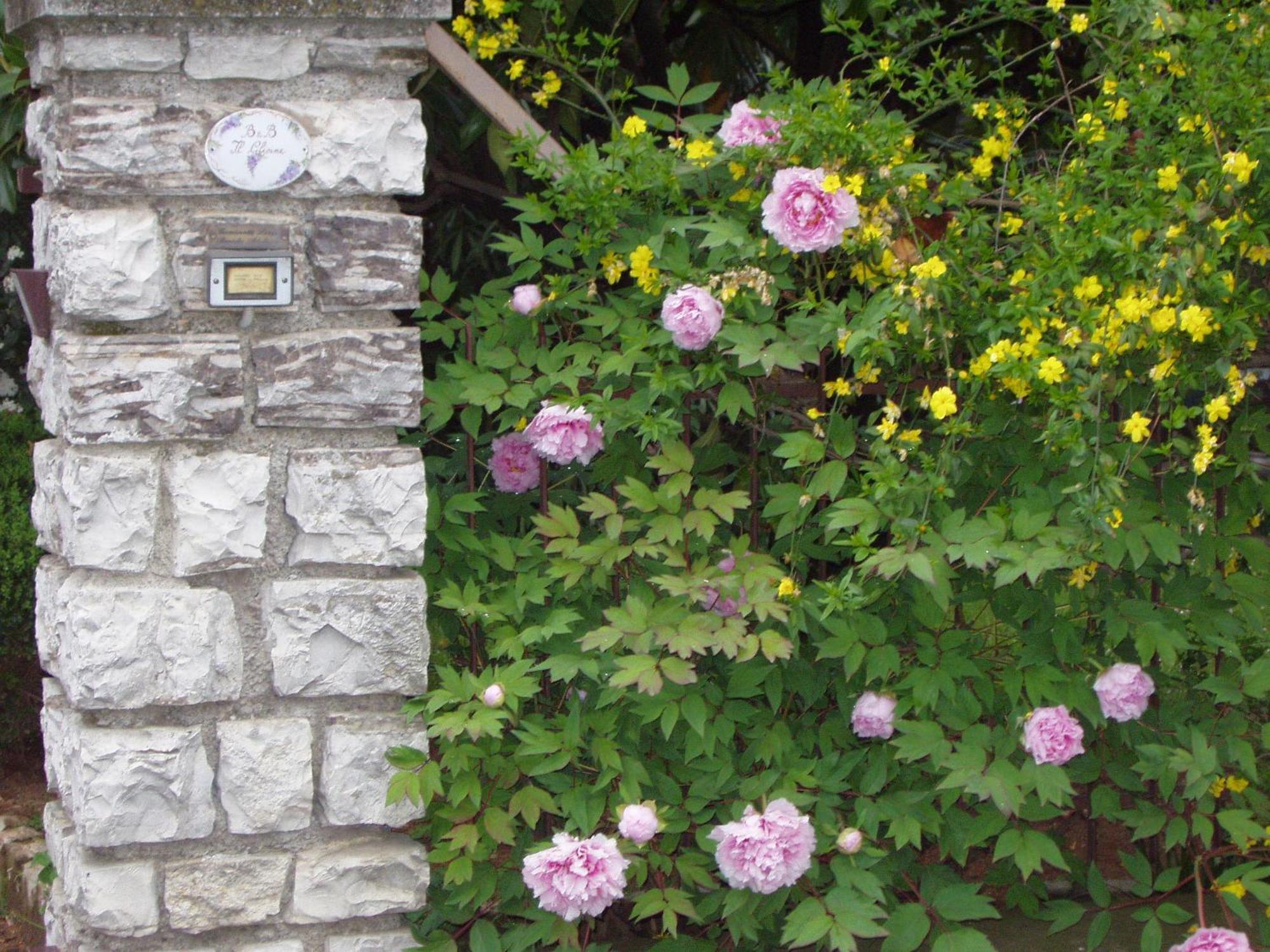 B&B Il Glicine Bedizzole Exteriér fotografie