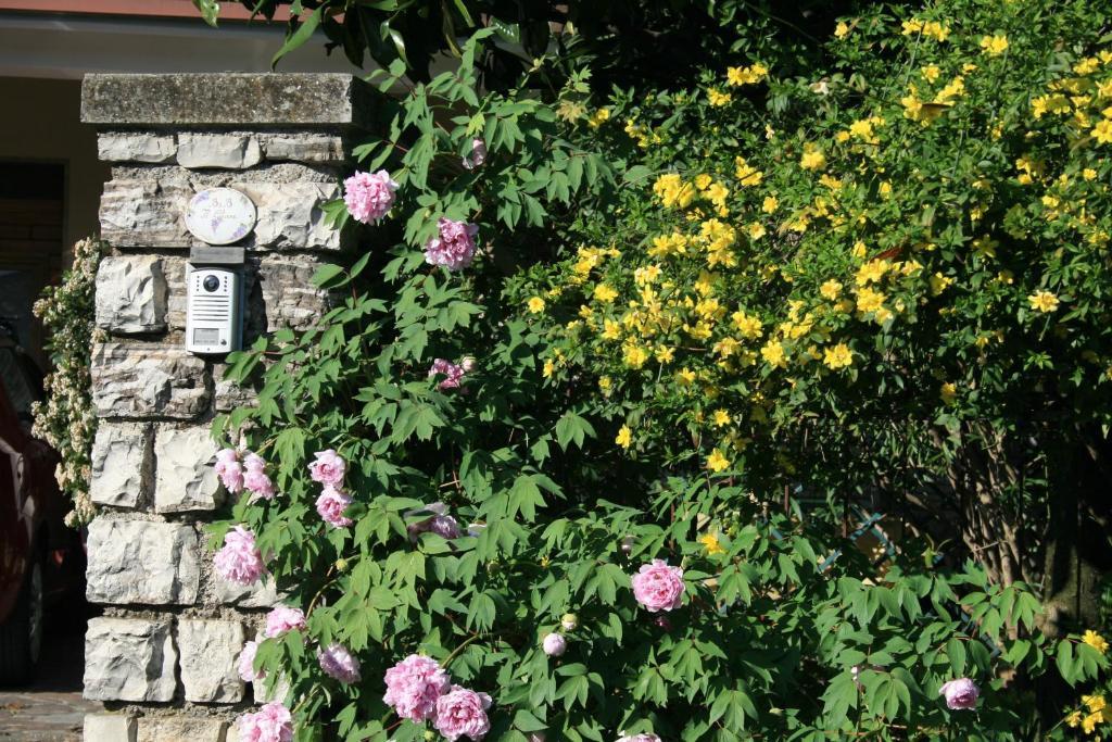 B&B Il Glicine Bedizzole Exteriér fotografie