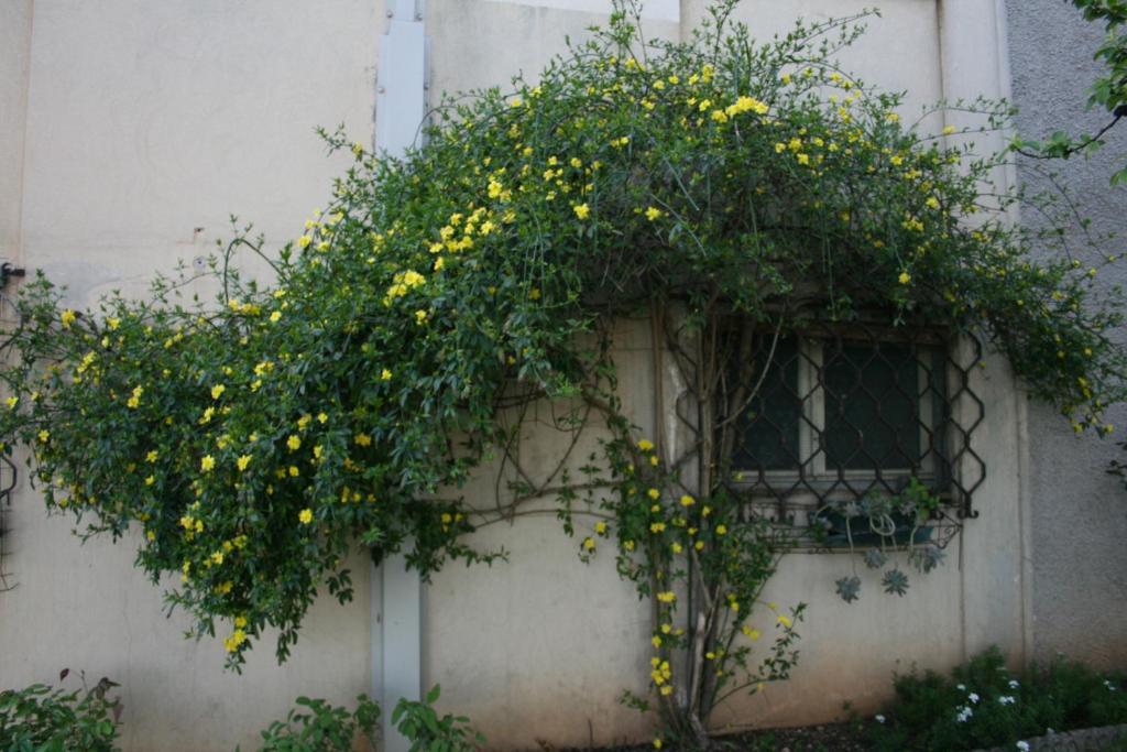 B&B Il Glicine Bedizzole Exteriér fotografie